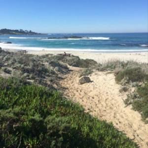 Meet your Posher, Janet